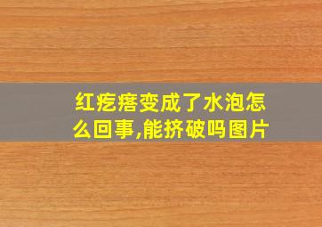 红疙瘩变成了水泡怎么回事,能挤破吗图片