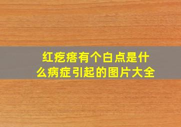 红疙瘩有个白点是什么病症引起的图片大全