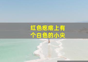 红色疙瘩上有个白色的小尖