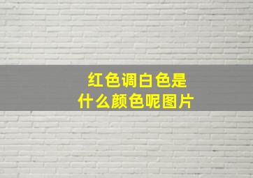 红色调白色是什么颜色呢图片