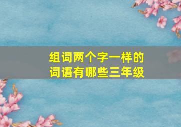 组词两个字一样的词语有哪些三年级