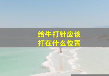 给牛打针应该打在什么位置