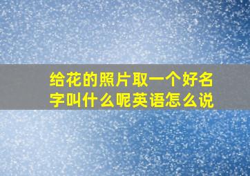 给花的照片取一个好名字叫什么呢英语怎么说