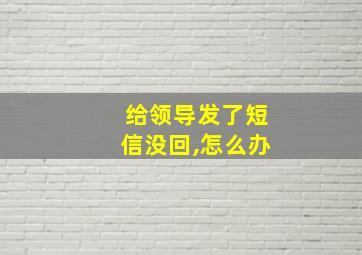 给领导发了短信没回,怎么办