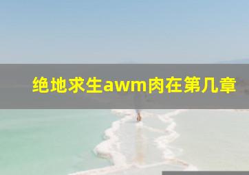 绝地求生awm肉在第几章