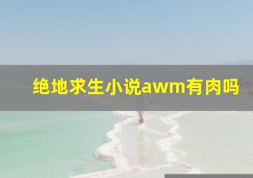 绝地求生小说awm有肉吗