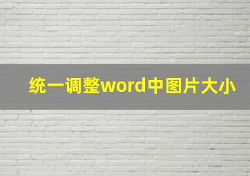 统一调整word中图片大小