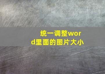 统一调整word里面的图片大小