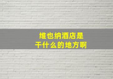 维也纳酒店是干什么的地方啊