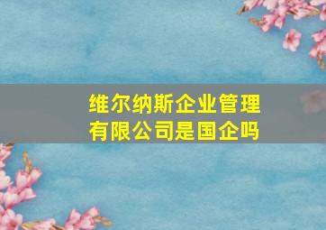 维尔纳斯企业管理有限公司是国企吗