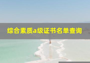 综合素质a级证书名单查询