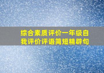 综合素质评价一年级自我评价评语简短精辟句