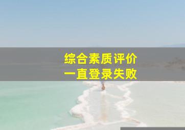 综合素质评价一直登录失败