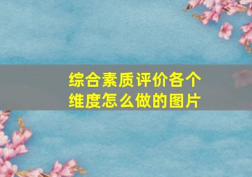 综合素质评价各个维度怎么做的图片