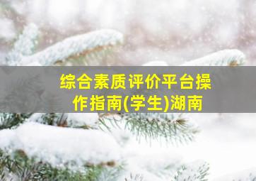 综合素质评价平台操作指南(学生)湖南