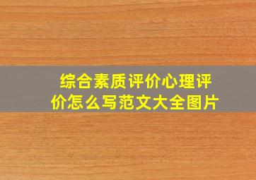 综合素质评价心理评价怎么写范文大全图片