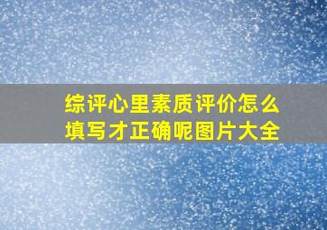 综评心里素质评价怎么填写才正确呢图片大全