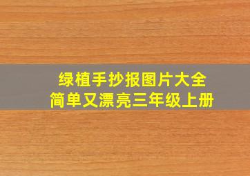 绿植手抄报图片大全简单又漂亮三年级上册