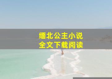 缅北公主小说全文下载阅读