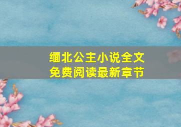 缅北公主小说全文免费阅读最新章节