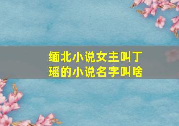 缅北小说女主叫丁瑶的小说名字叫啥