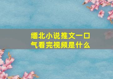 缅北小说推文一口气看完视频是什么