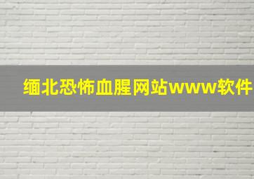 缅北恐怖血腥网站www软件