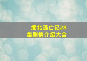 缅北逃亡记28集剧情介绍大全