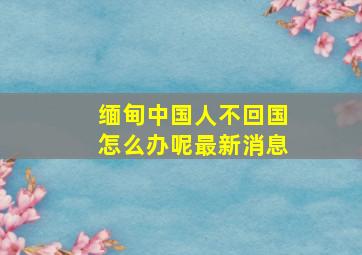 缅甸中国人不回国怎么办呢最新消息