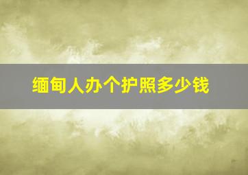 缅甸人办个护照多少钱