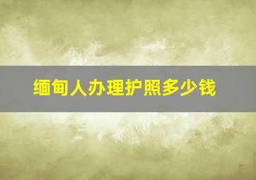 缅甸人办理护照多少钱