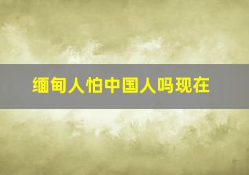 缅甸人怕中国人吗现在