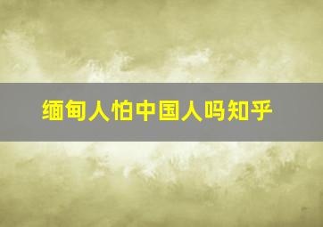 缅甸人怕中国人吗知乎