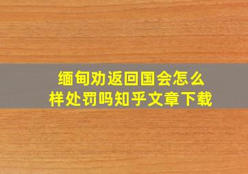 缅甸劝返回国会怎么样处罚吗知乎文章下载