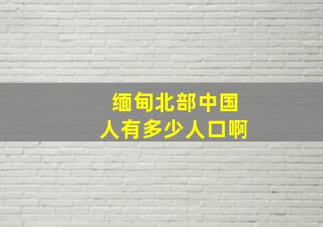 缅甸北部中国人有多少人口啊