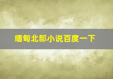 缅甸北部小说百度一下