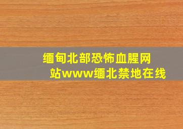 缅甸北部恐怖血腥网站www缅北禁地在线