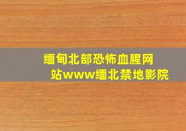 缅甸北部恐怖血腥网站www缅北禁地影院