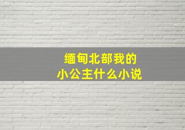 缅甸北部我的小公主什么小说