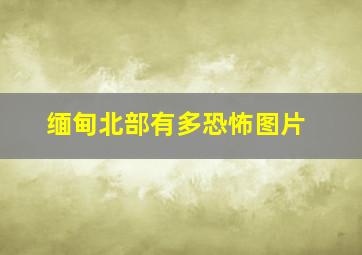 缅甸北部有多恐怖图片