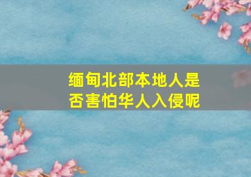 缅甸北部本地人是否害怕华人入侵呢