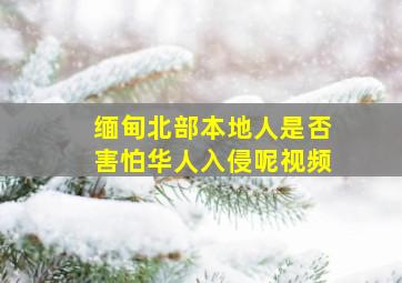 缅甸北部本地人是否害怕华人入侵呢视频