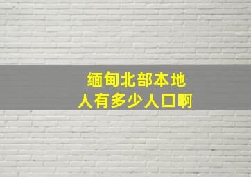 缅甸北部本地人有多少人口啊