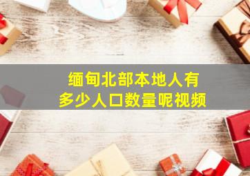 缅甸北部本地人有多少人口数量呢视频