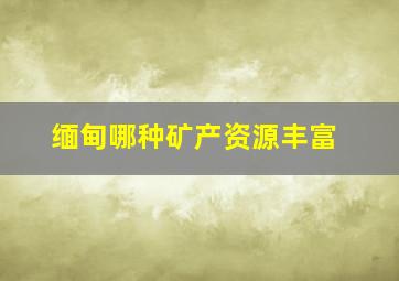 缅甸哪种矿产资源丰富