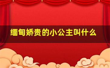 缅甸娇贵的小公主叫什么