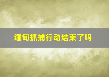 缅甸抓捕行动结束了吗