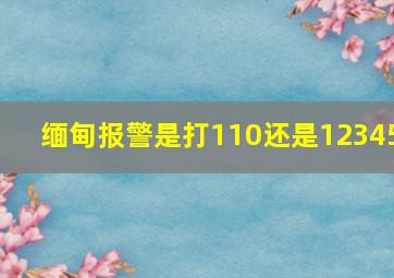 缅甸报警是打110还是12345