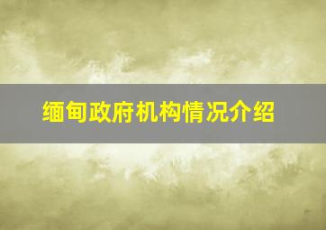 缅甸政府机构情况介绍