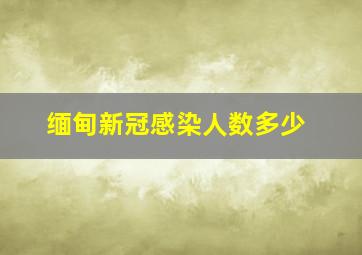 缅甸新冠感染人数多少